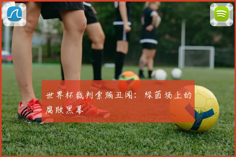 世界杯裁判索贿丑闻：绿茵场上的腐败黑幕