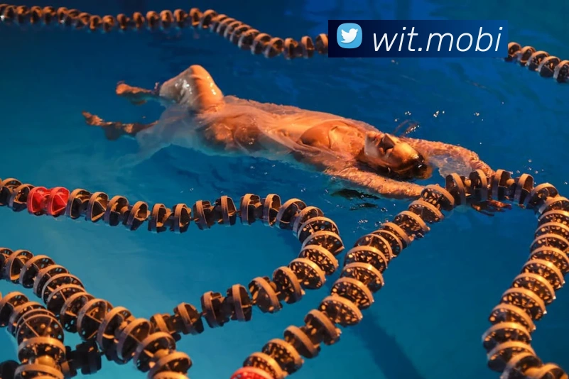 多媒体互动体验