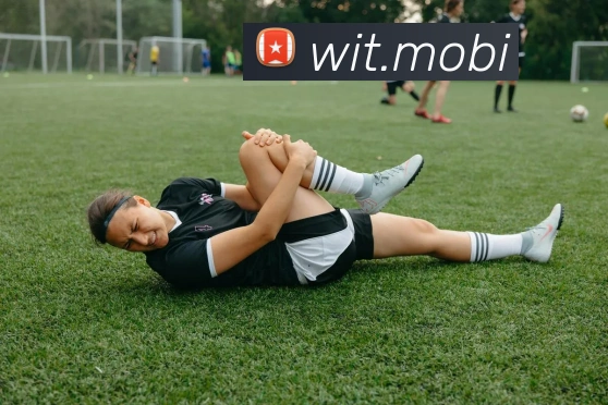 开云在线官网登录入口APP 高清赛事图